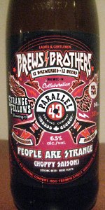 Brews Brothers People Are Strange