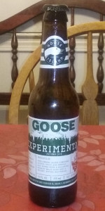 Experimental Autumn 2016