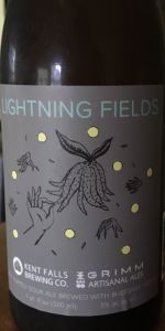 Lightning Fields