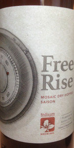 Free Rise - Mosaic Dry Hopped