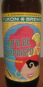 You'd Be Surprised Raspberry Citrus Ale