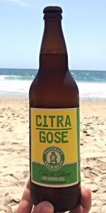Citra Gose