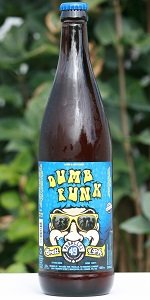 Dumb Funk Brett IPA