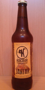 Kocour Jantar