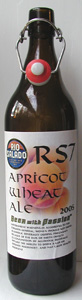 Rio Salado Anniversary Apricot Hefeweizen