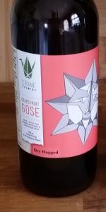 Dry Hopped Grapefruit Gose