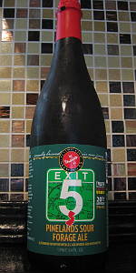 Exit 5 Pinelands Sour Forage Ale