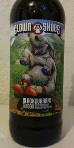 Black Currant Saison