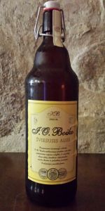 I.O.Boiko Å viesusis Alus