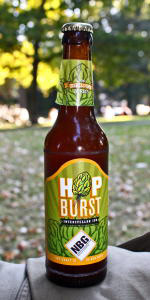 NBG Hopburst Interstellar IPA