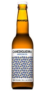 American IPA