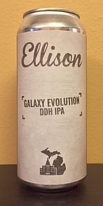 Galaxy Evolution