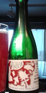 Volume 1: Let There Be Wunder!