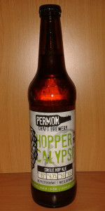 Hopper Calypso