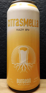 CitraSmella