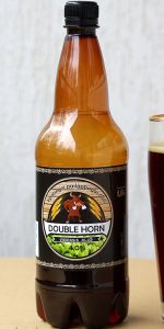 Double Horn