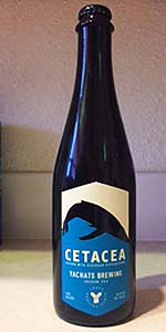 Cetacea