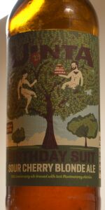 24th Anniversary Birthday Suit Sour Cherry Blonde Ale