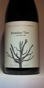 Boundary Tree