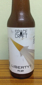 Spacecraft Liberty 1
