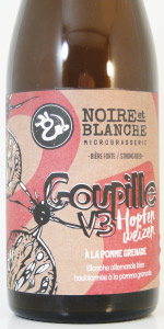 Goupille V3