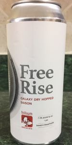Free Rise - Galaxy Dry Hopped