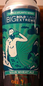 The Wild Atlantic Series #1 - Sour Wheat Ale