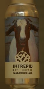 Intrepid Dry-Hopped Farmhouse Ale