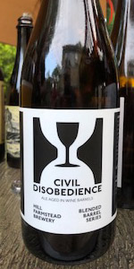 Civil Disobedience #21