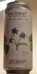 Incipient - Blackberry