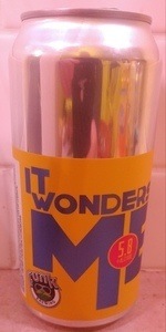IT Wonders Me