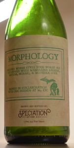 Morphology
