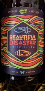 311 Beautiful Disaster