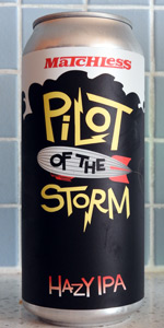 Pilot Of The Storm