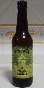 Ayalga