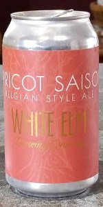 Apricot Saison