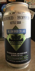 Herbed + Hopped Kettle Sour