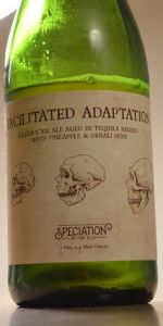 Facilitated Adaptation