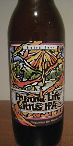 Fruitful Life Citrus IPA