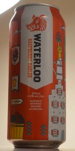Raspberry Radler