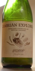 Cambrian Explosion