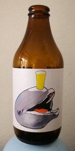 Dolph DDH IPA