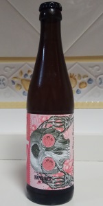 ART17 Pink Guava Sour Saison
