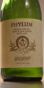Phylum