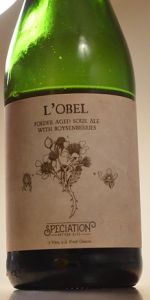 L'Obel