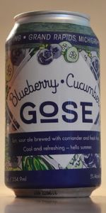 Blueberry Cucumber Gose