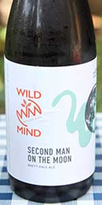 Second Man On The Moon