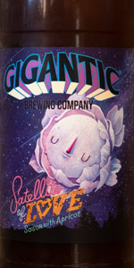 Satellite Of Love