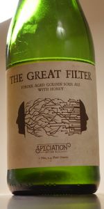 The Great Filter