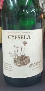 Cypsela